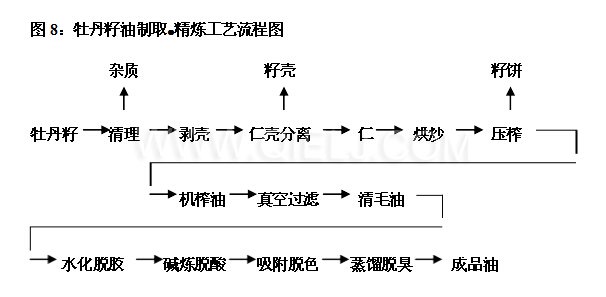 牡丹籽油設(shè)備 牡丹籽油榨油精煉生產(chǎn)線(xiàn)(圖5)