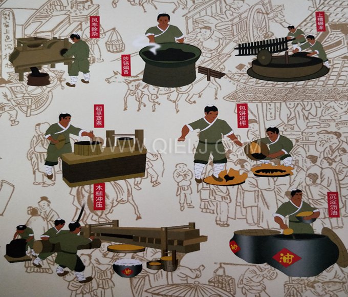 芝麻油提取加工，企鵝糧油機(jī)械生產(chǎn)色香味俱佳的油脂(圖2)